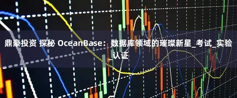 鼎豪投资 探秘 OceanBase：数据库领域的璀璨新星_考试_实验_认证