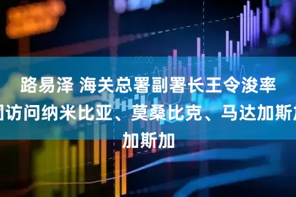 路易泽 海关总署副署长王令浚率团访问纳米比亚、莫桑比克、马达加斯加