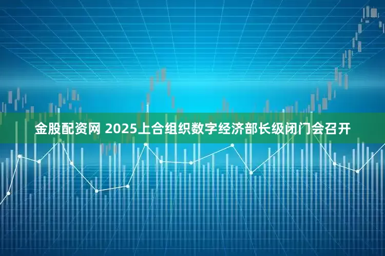 金股配资网 2025上合组织数字经济部长级闭门会召开